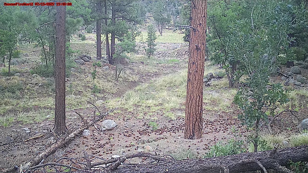 webcam image