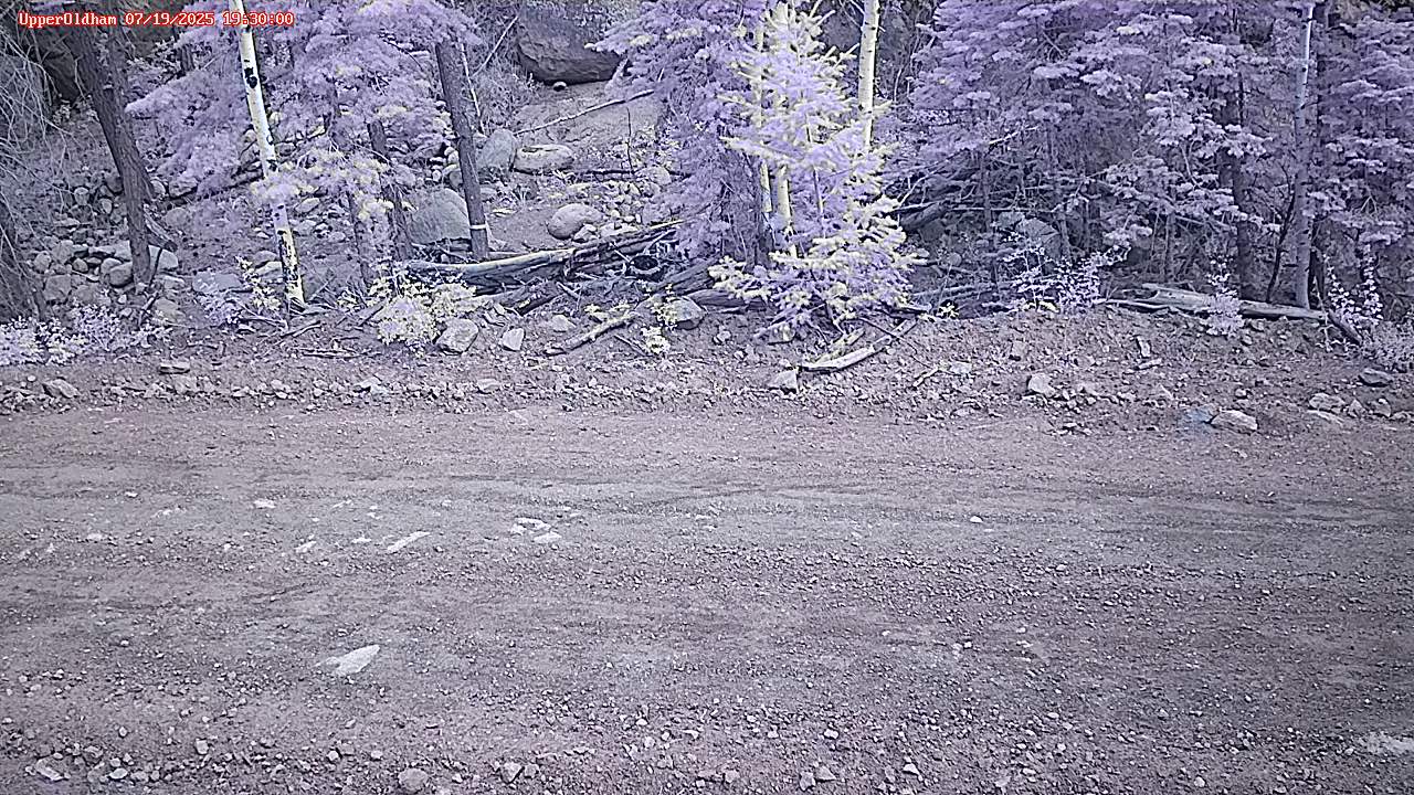 webcam image